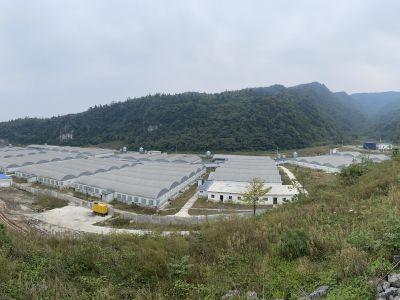 泸州古蔺红光猪场